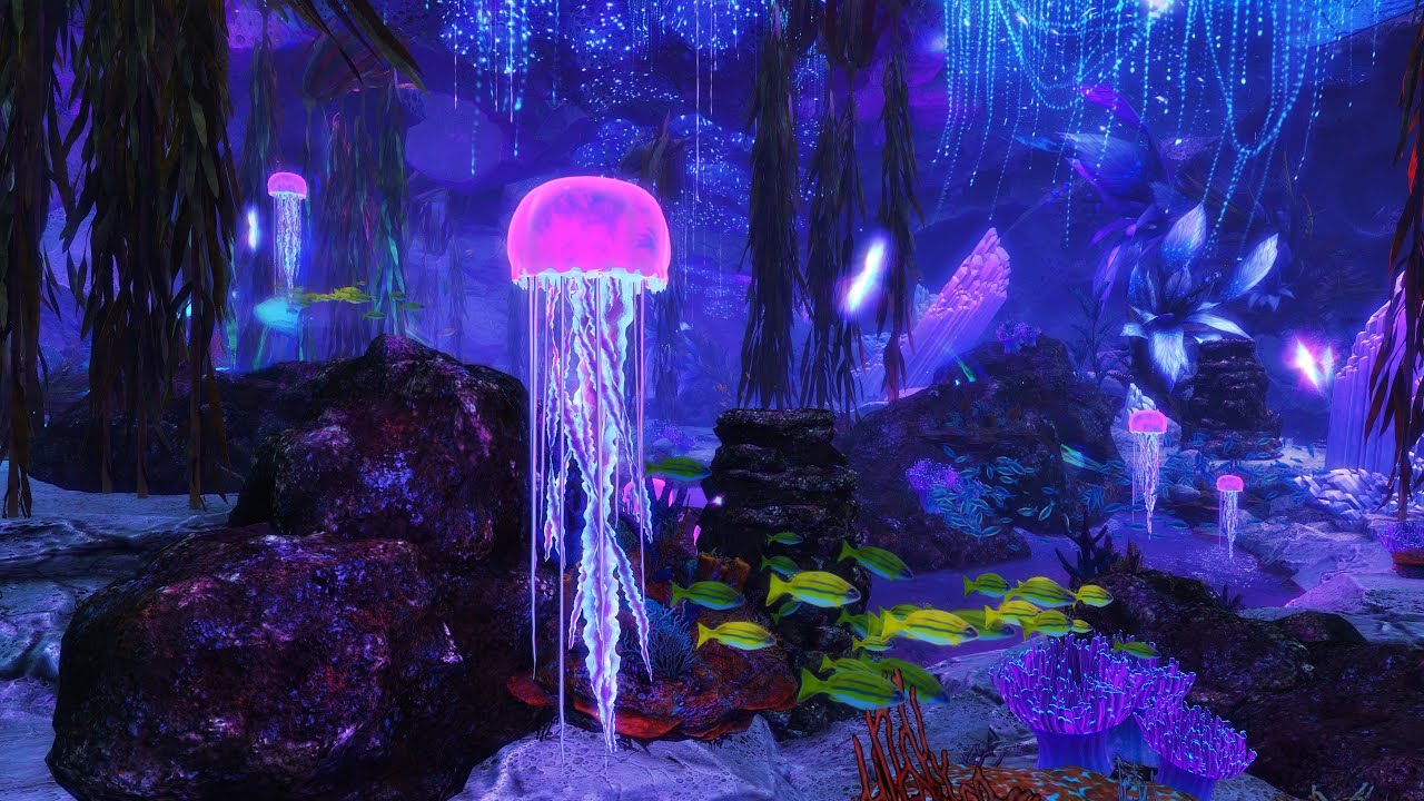 Bring Oceanic Beauty to Your Home with the Underwater Homestead
