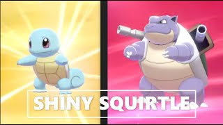 Shiny Squirtle 1205 Eggs Pokemon Sword