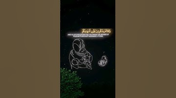القارئ الشيخ ياسر الدوسري القرءان الكريم#راحة_نفسية #quran #capcut #حالات_واتس #دويتو #انستا_بالبايو