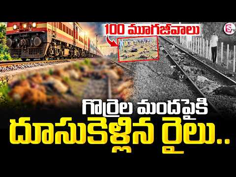 Ghatkesar Train Incident | ఘట్‌కేసర్‌లో విషాద ఘటన..గొర్రెల మందపైకి దూసుకెళ్లిన రైలు..| SumanTV Sai