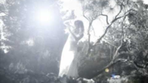 absorció / videocreació