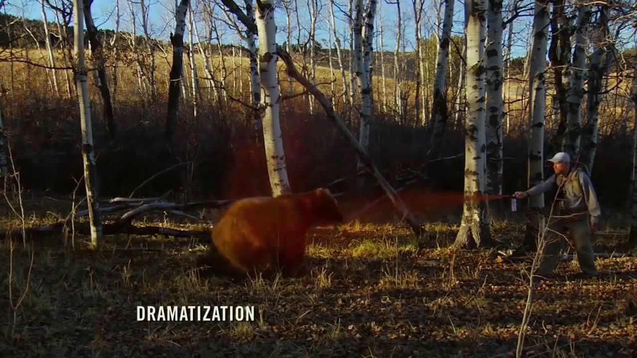 Using Bear Pepper Spray YouTube