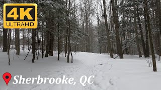 Marais Real D Carbonneau Trail Review Winter Sherbrooke