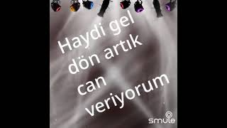 Can Veri̇yorum Kibariye