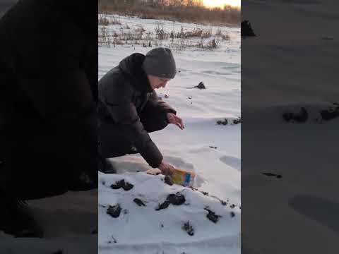 НЕ ПОВТОРЯТЬ! Ваша безопасность зависит от вас! Соблюдайте правила #shorts #новыйгод #фейерверки