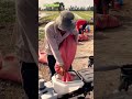 Farmers successfully transport their rice harvest using modern equipment #shorts #cropfarming