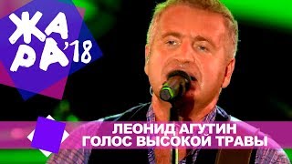 Леонид Агутин  -  Голос высокой травы  (ЖАРА В БАКУ Live, 2018)