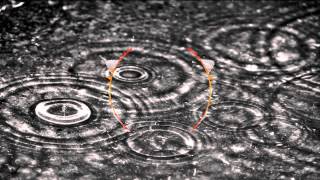 Fytch, Captain Crunch & Carmen Forbes - Raindrops (Flinch Remix)