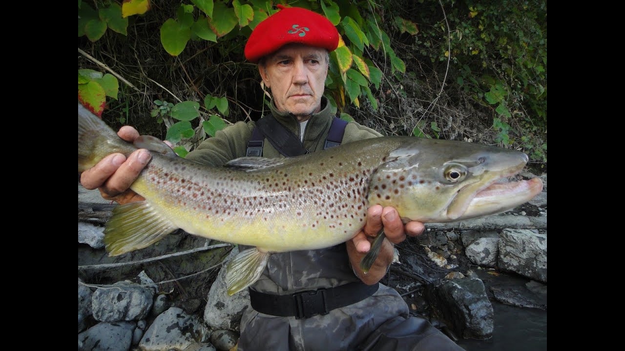 27 Septembre 2015 - 66 cm