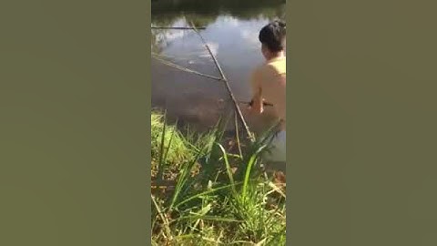 Lure lóc 1k6 đăk nông 14/2