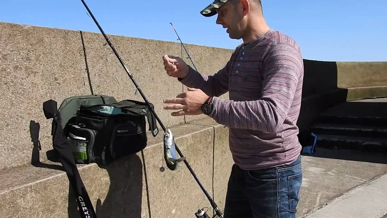 sea fishing trips berwick upon tweed