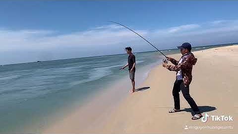 Câu cá Chẽm ( vược ) bằng mồi lure tại cửa Tư Hiền