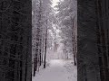 Зимняя сказка💫