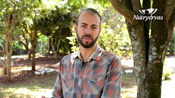 Qual o objetivo do ácido pantotênico?