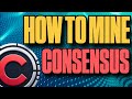 How to mine consensus network  windows  hiveos