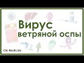 Вирус ветряной оспы (ветрянка и опоясывающий лишай) - клиника, диагностика, лечение