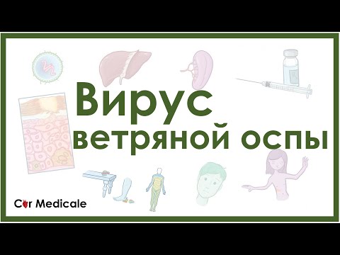 Видео: Разлика между варицела и зостер