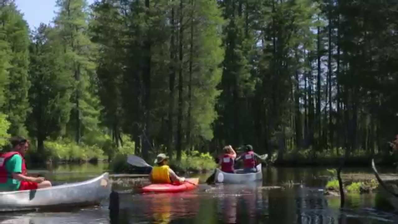 Paddling and Protecting the Pinelands