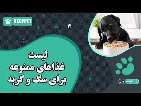 تصویری: آیا سگ ها می توانند اسپاگتی بخورند؟