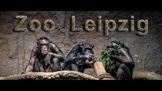 Zoo Leipzig Leipzig Zoo Sightseeing