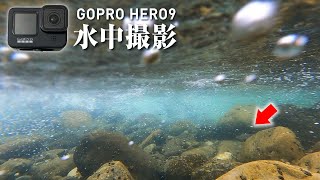 GoProで都内の川を撮影したら..。渓流・中流域【水中撮影】