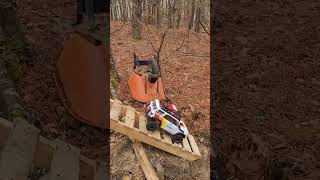 See saw! #shorts