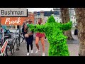 Top funniest reactions of bushman prank in ireland