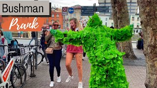 Top funniest Reactions of Bushman prank in ireland