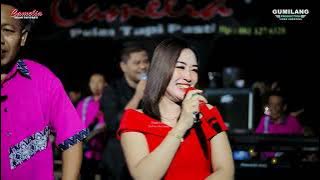 CAMELIA MUSIC - RINDUNYA HATIKU - RIA ANDIKA & MARLIN - WEDDING ISAL & FAZA - PEKALONGAN BATEALIT