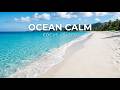 Calm Coastal Island Waves 🌊 Relaxing Ocean Sounds for Sleep &amp; Focus (1 Hour)