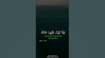 القارئ صلاح بو خاطر راحة نفسية قرأن كريم بصوت هادئ