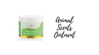 Learn The Many Uses for Young Living's Animal Scents Ointment