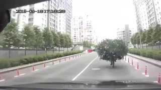 Такого я еше не видел Такого я еше не видел