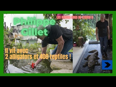 Vidéo: Alligator De 4 Pieds Vendu à Un Garçon De 17 Ans Au Salon Des Reptiles