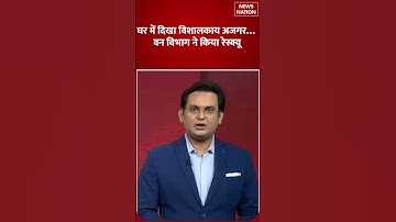 Python Rescue: घर में दिखा विशालकाय अजगर… वन विभाग ने किया रेस्क्यू | News Nation | #shorts