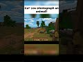 Capture the Wild! 30 Animal Photos in This Safari Adventure! #minecraft