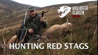 Hunting red stags in Scotland by Kristoffer Clausen, Awesome killscenes