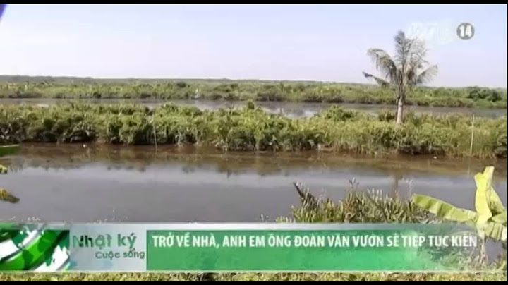 VTC14_Trở về nhà, anh em ông Đoàn Văn Vươn sẽ tiếp tục kiện