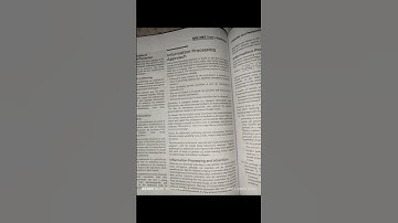 information processing approach