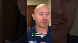 Necrobotic Spiders Rice Universitys Creepy Creation