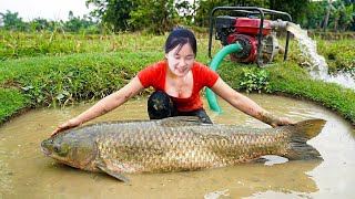 Catching giant fish in a shallow pond, selling them at the market &amp; enjoying delicious grilled fish