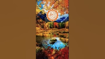 🌹👰surah nisa 🌹👰 || سورة النساء ||🌹🌹 #viral #quranictranslation #quran #surhmulk #surah #الله