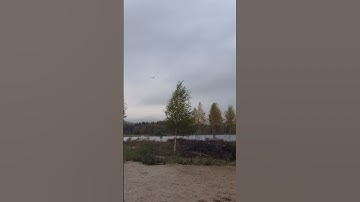 Bushflying The Funcub NG At The Beach!!