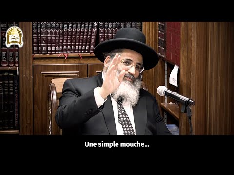 Quel est le véritable but de la technologie ? Un moment de lumière