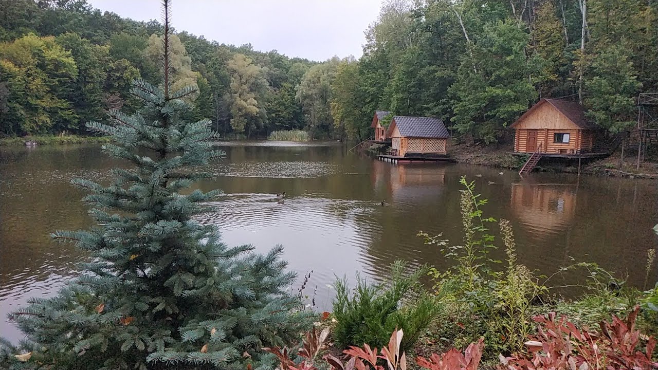 Лубны. Villa Crona - чудесное место отдыха