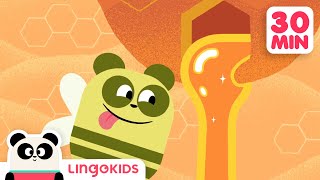 BEES DINOSAURS AND MORE FUN CARTOONS  Science for Kids | Lingokids