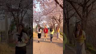 허니즈에게 사랑을 전하고 싶다던가 💘🌸 | FIFTY FIFTY (피프티피프티)