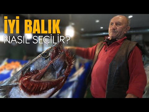 Video: Yağlı Deniz Balığı Nasıl Seçilir