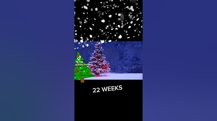 22 Weeks Till Christmas
