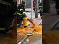 Why Do Fire Hydrants Suddenly Blast Water Into the Street?